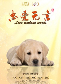 免费的污网站
